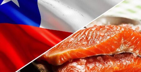 Chile tăng xuất khẩu cá hồi 