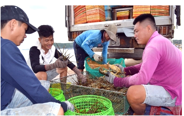 Phú Yên làm gì để nâng cao năng lực nuôi trồng thủy sản