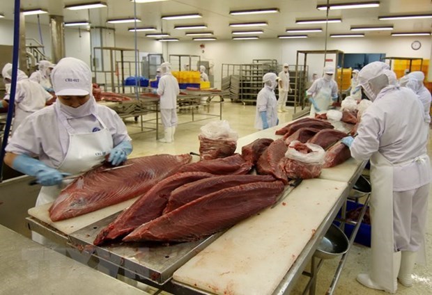 Xuất khẩu cá ngừ Việt Nam 8 tháng đầu năm 2022