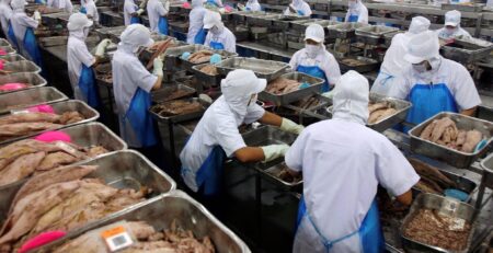 Xuất khẩu cá ngừ của Thái Lan tiếp tục tăng khả quan
