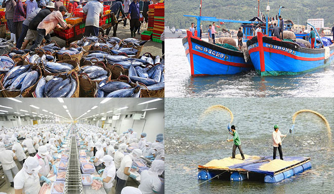Xuất khẩu thủy sản Việt Nam 8 tháng đầu năm 2022
