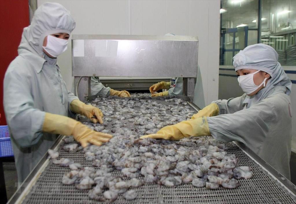 Xuất khẩu thuỷ sản "lội ngược dòng" đón đơn hàng cuối năm 1 Chú thích ảnh