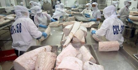 Xuất khẩu cá ngừ sang Anh liệu có thể phục hồi?