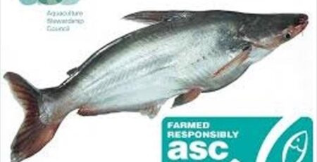Nomad Foods mua thêm cá tra ASC vào năm 2023