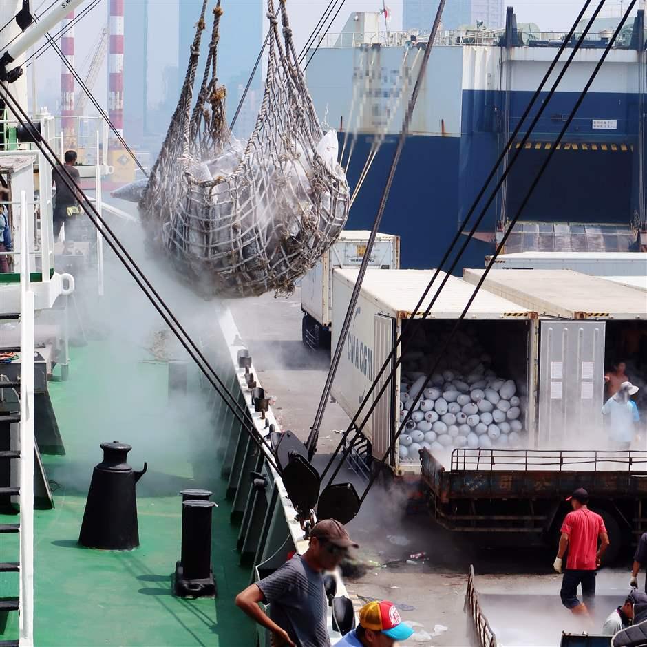 Tháng 112022 giá cá ngừ vằn Manta tiếp tục cao hơn tại Bangkok