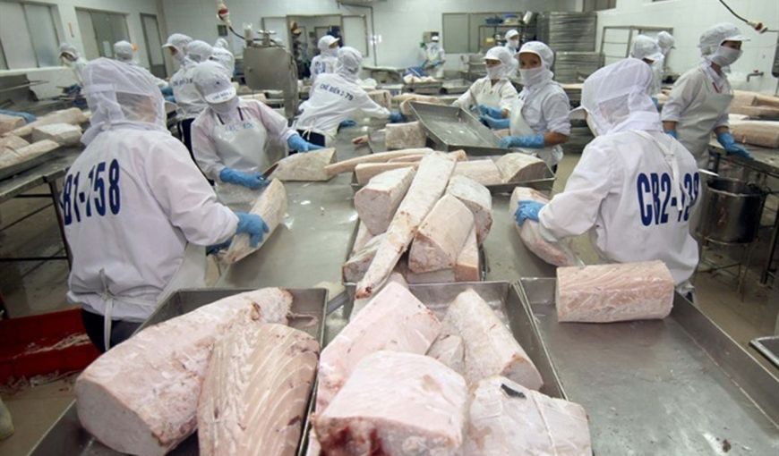 Xuất khẩu cá ngừ Việt Nam 11 tháng đầu năm 2022
