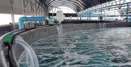 Bà Rịa-Vũng Tàu ưu tiên phát triển nuôi trồng thủy sản ứng dụng công nghệ cao