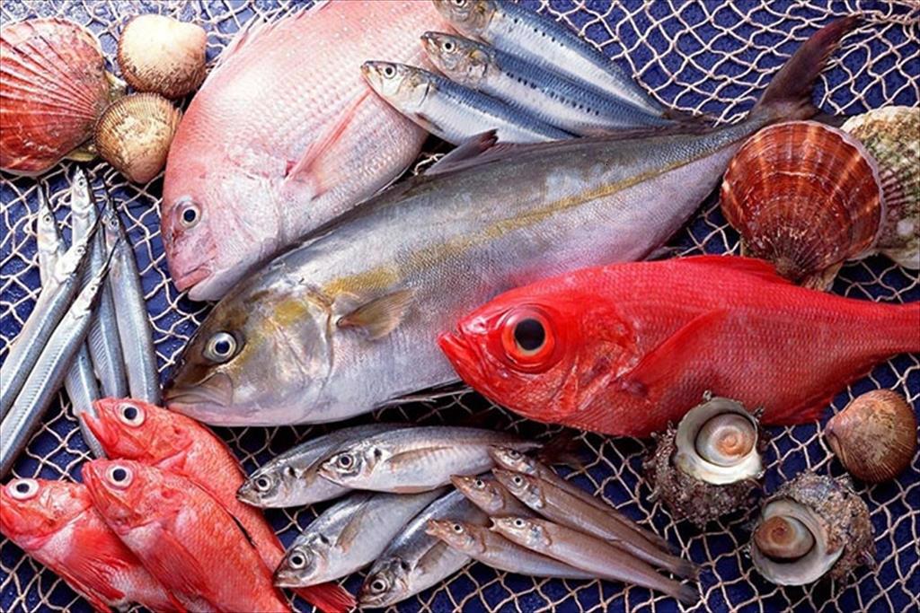 Xuất khẩu hải sản Việt Nam 11 tháng đầu năm 2022