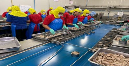 Thái Lan khôi phục xuất khẩu cá ngừ sang các thị trường