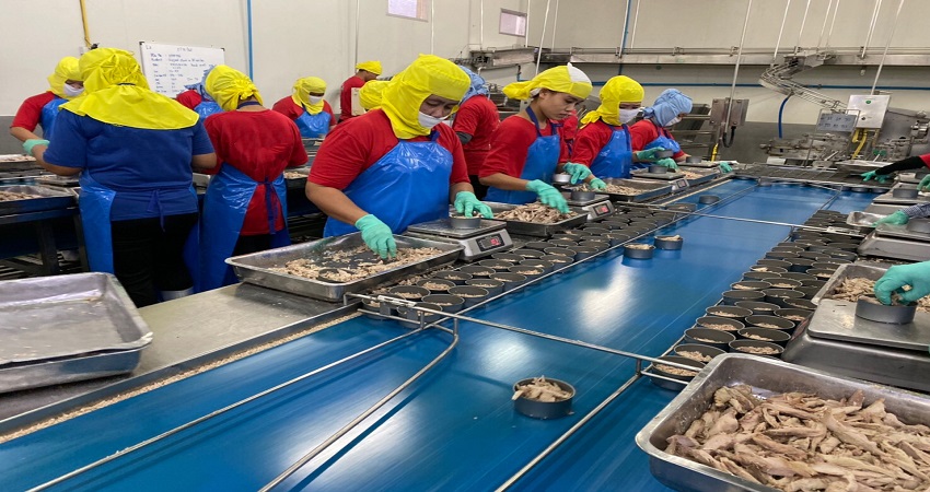 Thái Lan khôi phục xuất khẩu cá ngừ sang các thị trường