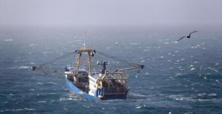 FAO tuyên bố ngành đánh bắt cá của EU nên ưu tiên khử cacbon