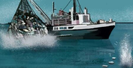 Dỡ bỏ hạn chế về Covid19 ở Hồng Kông làm tăng buôn bán hải sản đánh bắt trái phép 