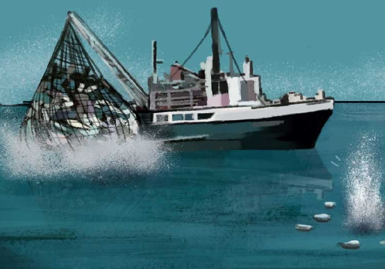 Dỡ bỏ hạn chế về Covid19 ở Hồng Kông làm tăng buôn bán hải sản đánh bắt trái phép 