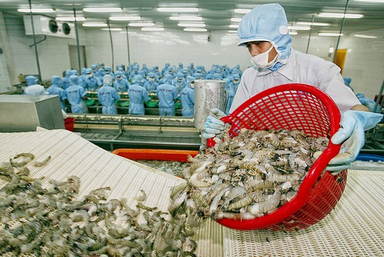 Thủy sản được xem là ngành có lợi lớn khi Trung Quốc mở cửa thị trường. (Ảnh minh họa - Ảnh: Báo Đầu tư)