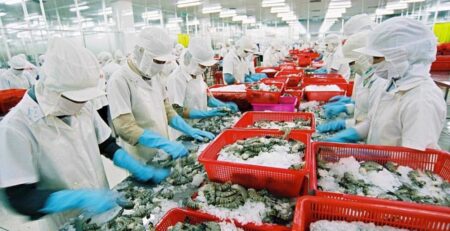 Kim ngạch xuất khẩu Việt Nam sang các nước khối CPTPP tăng trưởng ấn tượng