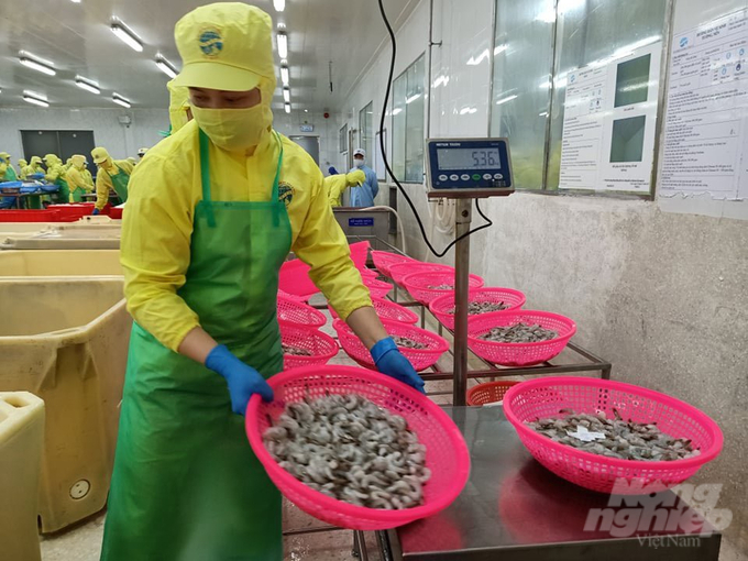 Năm thứ 3 liên tiếp xuất khẩu thủy sản tỉnh Cà Mau vượt mốc 1 tỷ USD. Ảnh: Trọng Linh.