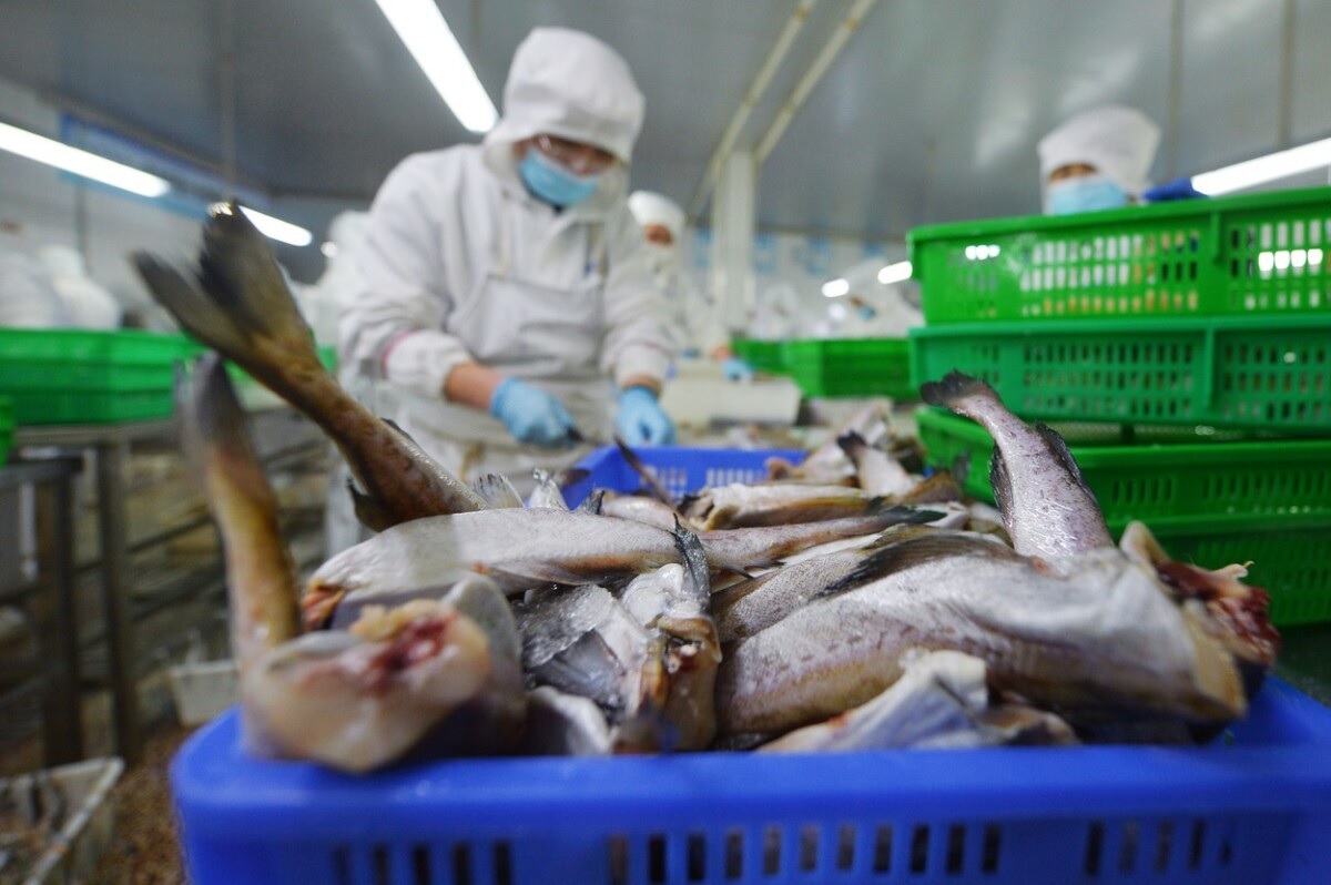 Nhu cầu 'hải sản 3R' tăng vọt ở Trung Quốc trong dịp Tết