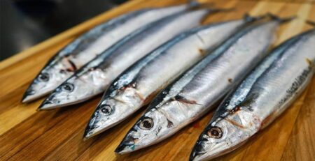 Nhật Bản Sản lượng khai thác cá thu đao thấp kỷ lục 