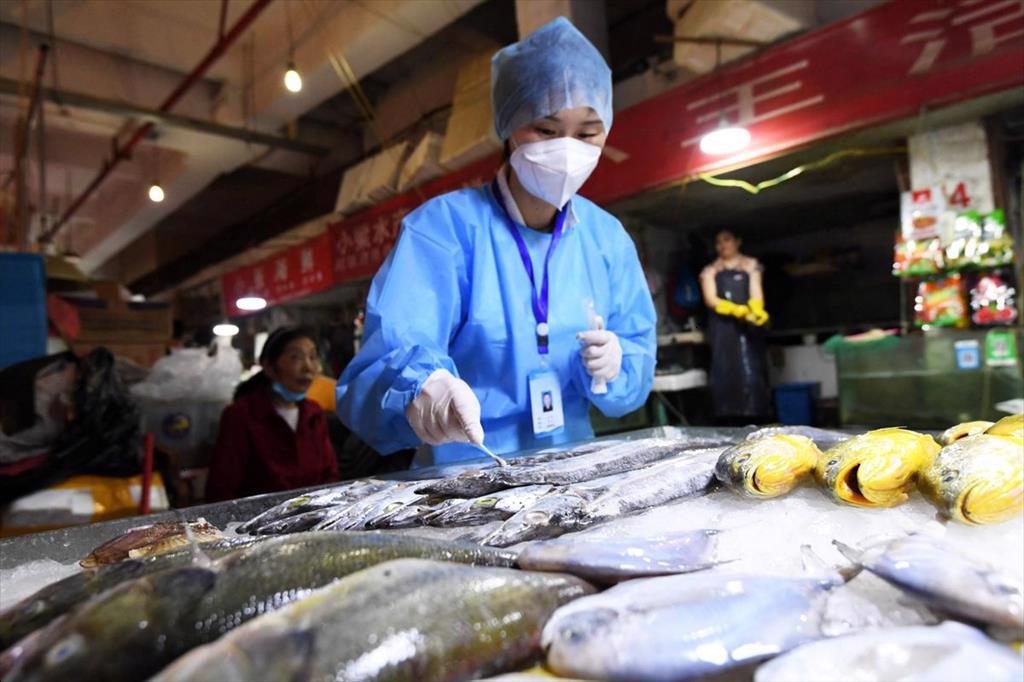 Tác động của cách tiếp cận Covid mới của Trung Quốc đến ngành chế biến thủy sản