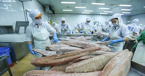 Xuất khẩu cá ngừ sang Mỹ giảm 27 trong quý IV2022