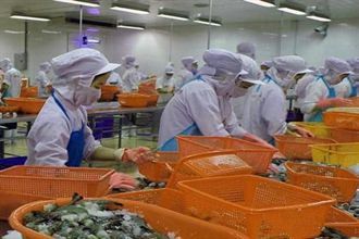 Xuất khẩu tôm Việt sang Mỹ giảm