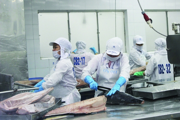 Xuất khẩu cá ngừ Việt Nam tháng 01/2023