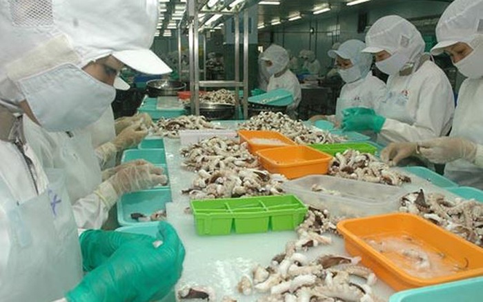 Xuất khẩu mực và bạch tuộc của Việt Nam tháng 1/2023