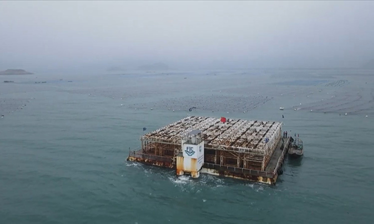 Hệ thống nuôi 40 tấn bào ngư biển sâu ở Trung Quốc