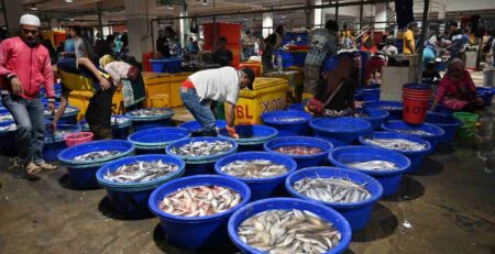 Đánh giá hệ thống thuế thủy sản ở Indonesia