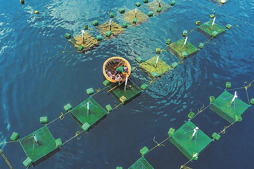Doanh nghiệp cần nỗ lực “xanh hóa” ngành thủy sản xuất khẩu