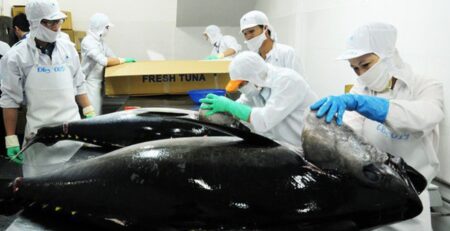 Lạm phát tác động mạnh tới nhập khẩu cá ngừ của Trung Đông