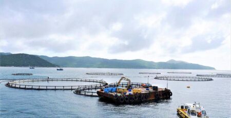 Na Uy - Việt Nam không cạnh tranh mà hỗ trợ nhau trong xuất khẩu thủy sản