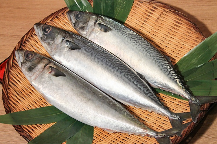 Năm 2022, Nhật Bản nhập khẩu gần 6,5 nghìn tấn cá thu chế biến từ Việt Nam, giá trung bình tăng 28%