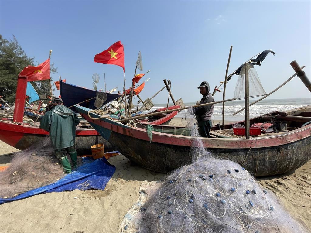 Ngư dân Thanh Hoá hào hứng đón 'lộc biển' đầu năm