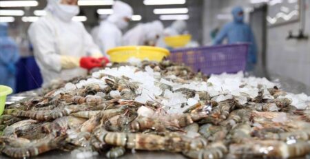 Nhật Bản giữ vị trí số 1 trong xuất khẩu thủy sản Việt Nam