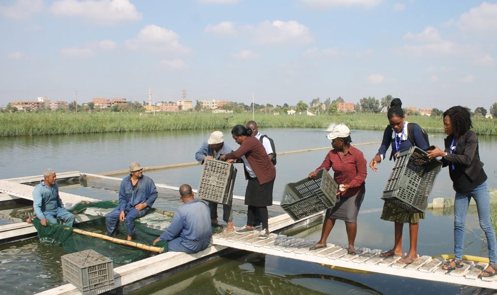 Tiềm năng tăng trưởng nuôi trồng thủy sản ở 5 quốc gia châu Phi