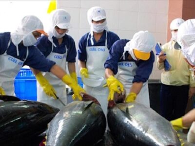 Xuất khẩu cá ngừ Việt Nam 2 tháng đầu năm 2023