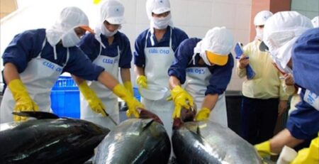 Xuất khẩu cá ngừ Việt Nam 2 tháng đầu năm 2023