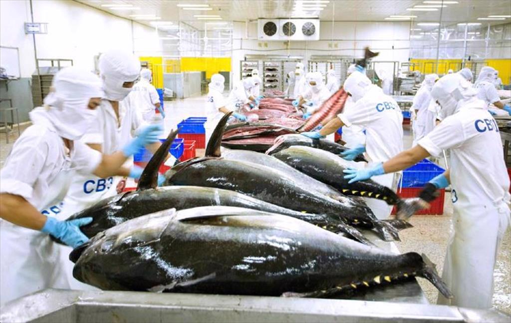 Xuất khẩu cá ngừ tăng đột phá tại các thị trường nhỏ