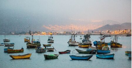 Xuất khẩu thủy sản của Peru tăng 30% nhờ bùng nổ doanh số thủy sản đóng hộp