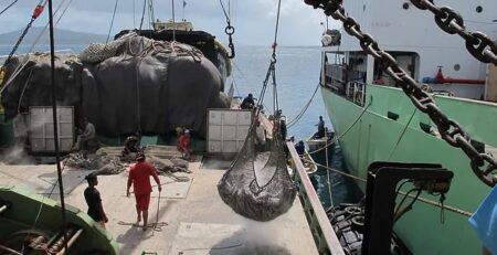 Ngành cá ngừ Ecuador đối mặt với cạnh tranh từ Trung Quốc