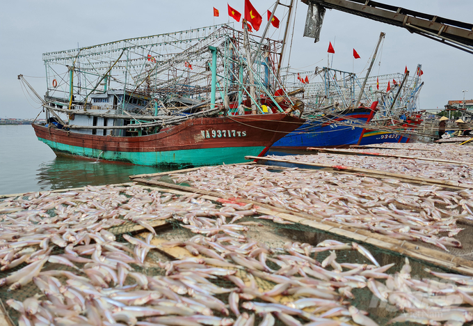 Giá trị ngành nghề thủy sản của Việt Nam phải được cải thiện để hướng đến những thị trường khó tính. Ảnh: Quốc Toản.