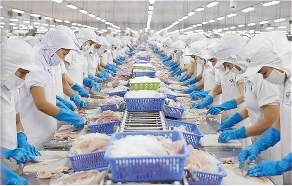 Thuỷ sản Nam Việt dự kiến mở rộng thị trường Trung Quốc, Vĩnh Hoàn đẩy mạnh lĩnh vực khác để bù đắp cho mảng cá tra