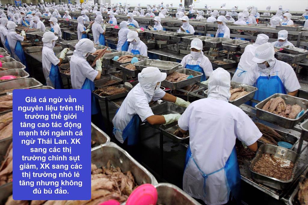 Xuất khẩu cá ngừ Thái Lan giảm xuống mức thấp nhất 