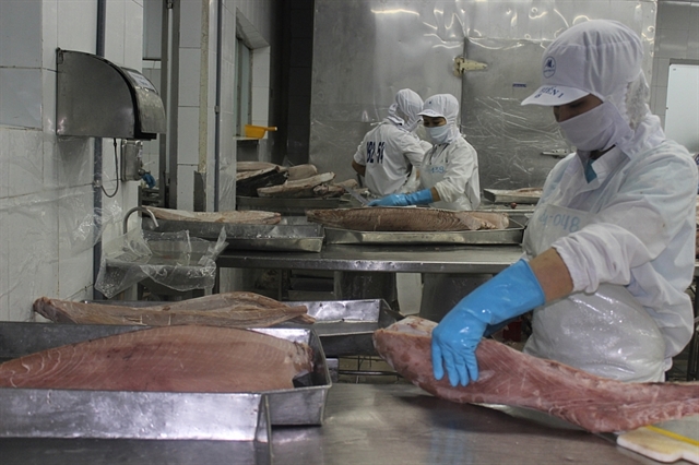 Xuất khẩu thịt/loin cá ngừ đông lạnh của Việt Nam sang Mỹ giảm 60%