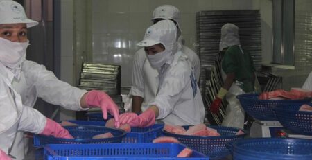 25 năm - một chặng đường phát triển của ngành cá ngừ Việt Nam