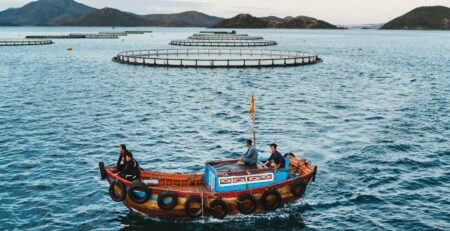 Australis Aquaculture được đầu tư 18 triệu USD để mở rộng sản xuất cá chẽm tại Việt Nam
