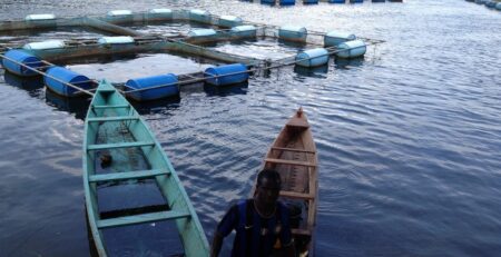 Chính phủ Ghana khánh thành trung tâm đào tạo nuôi trồng thủy sản trị giá 12 triệu USD