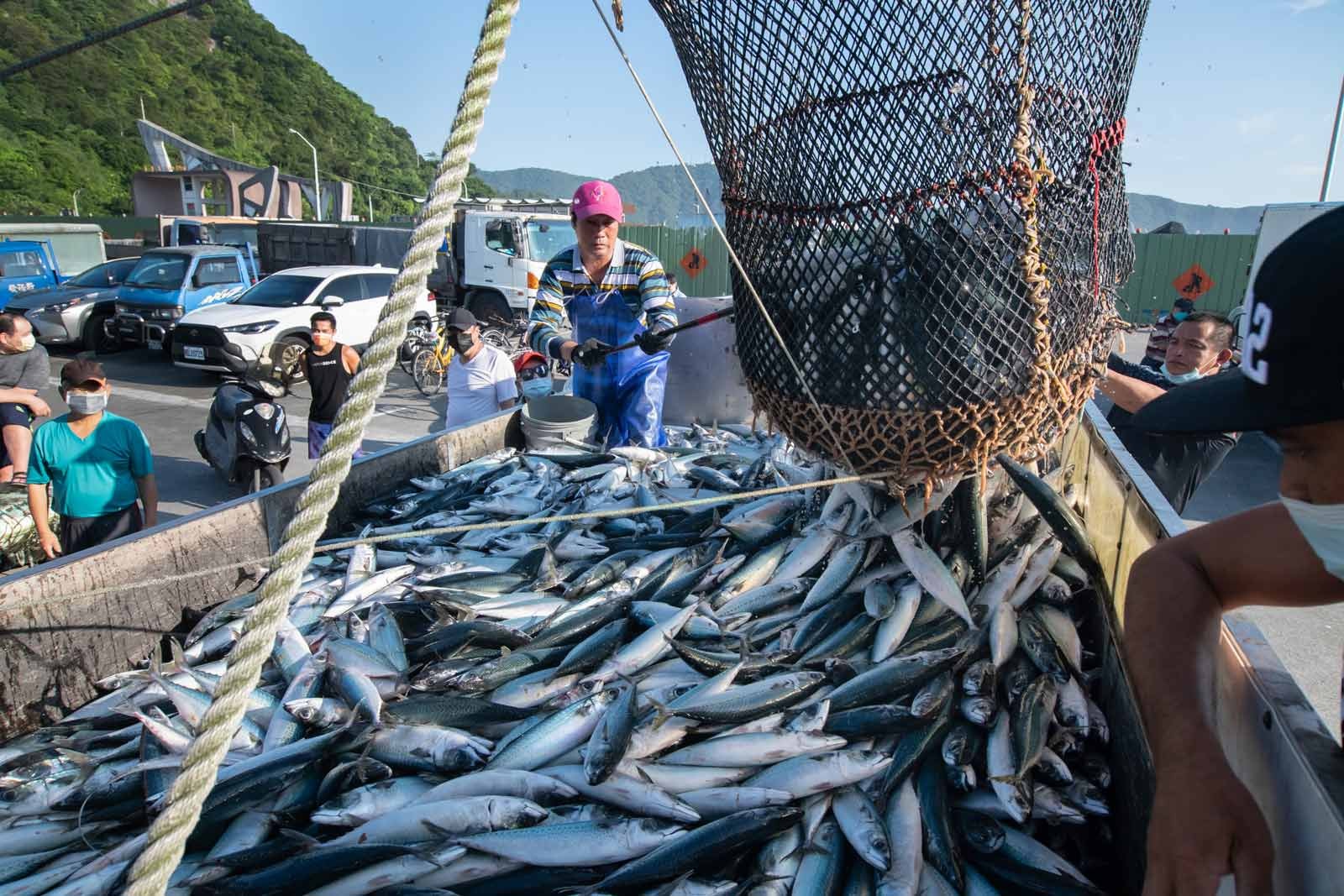 Đài Loan, Mỹ thảo luận về các hoạt động đánh bắt bền vững