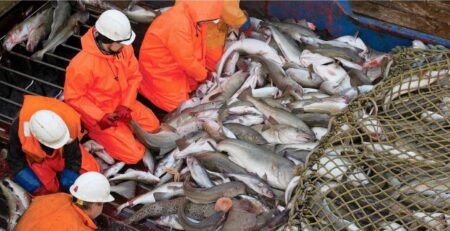 Nga tăng xuất khẩu hải sản Đại Tây Dương sang châu Á